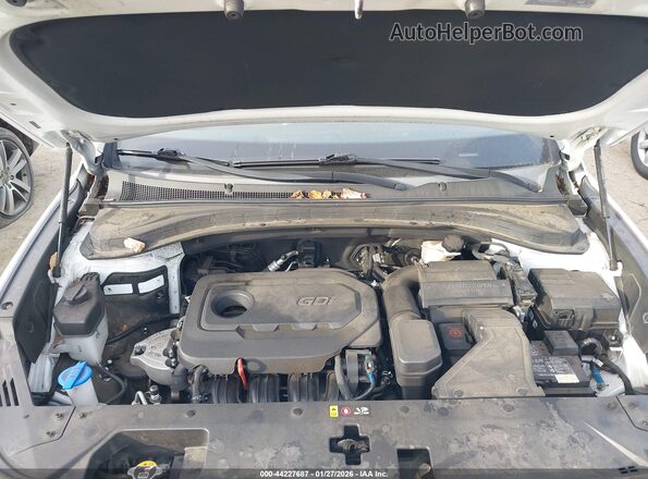 5NMS3CAD1LH169600 2020 HYUNDAI SANTA FE White უკანა ხედი