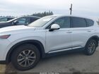 2020 Hyundai Santa Fe Sel White vin: 5NMS3CAD1LH169600