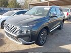 2023 Hyundai Santa Fe Limited Gray vin: 5NMS4DAL9PH571848