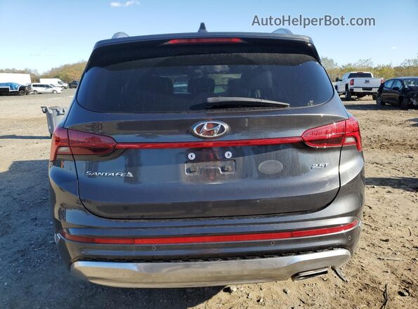 5NMS54AL0PH529355 2023 HYUNDAI SANTA FE CALLIGRAPHY Gray Widok z tyłu