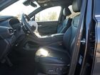 2023 Hyundai Santa Fe Calligraphy Gray vin: 5NMS54AL0PH529355