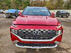 2023 Hyundai Santa Fe Calligraphy Red vin: 5NMS54AL4PH494674
