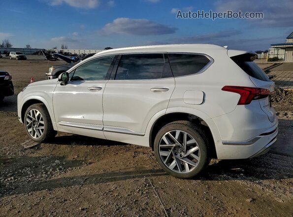 5NMS5DAL0MH358599 2021 HYUNDAI SANTA FE CALLIGRAPHY White Trasero izquierdo
