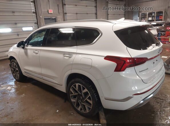 5NMS5DAL0PH497443 2023 HYUNDAI SANTA FE CALLIGRAPHY White Tył lewy
