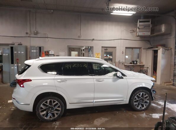 5NMS5DAL0PH497443 2023 HYUNDAI SANTA FE CALLIGRAPHY White Widok wnętrza z tyłu
