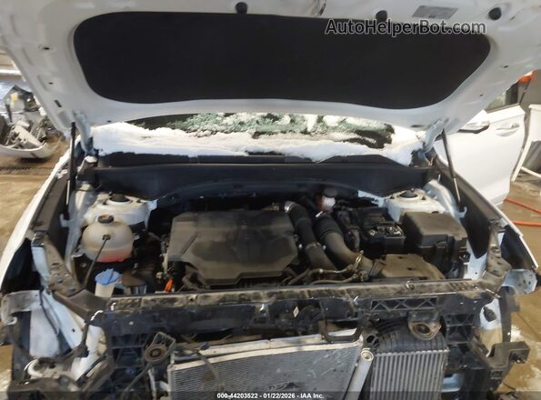5NMS5DAL0PH497443 2023 HYUNDAI SANTA FE CALLIGRAPHY White Widok z tyłu