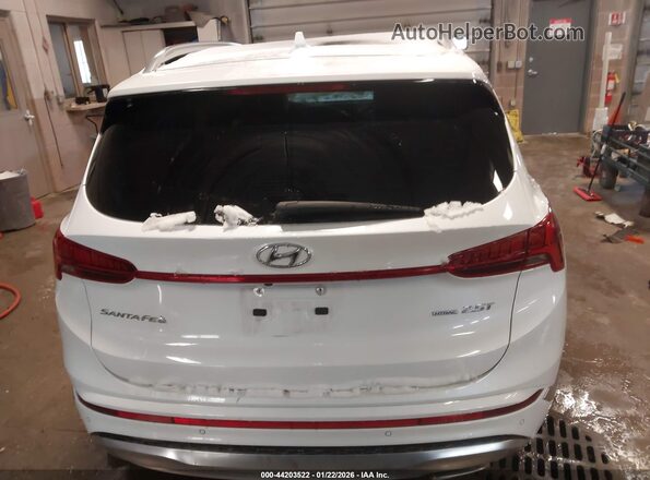 5NMS5DAL0PH497443 2023 HYUNDAI SANTA FE CALLIGRAPHY White 