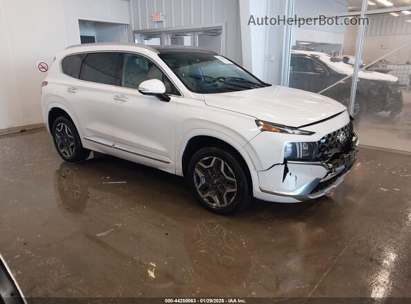5NMS5DAL4MH311947 2021 HYUNDAI SANTA FE CALLIGRAPHY White Delantero derecho