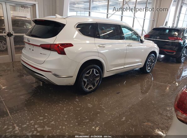 5NMS5DAL4MH311947 2021 HYUNDAI SANTA FE CALLIGRAPHY White Trasero derecho