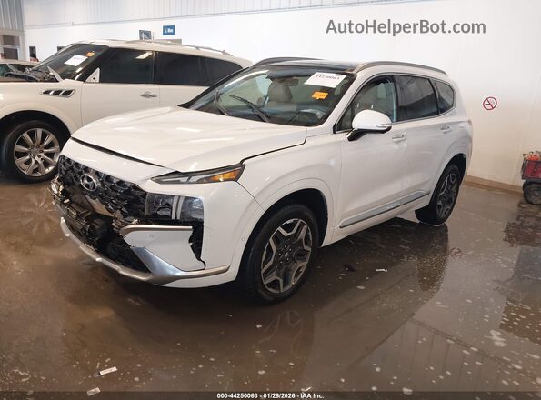 5NMS5DAL4MH311947 2021 HYUNDAI SANTA FE CALLIGRAPHY White Vista tres cuartos delantera izquierda