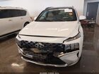 2021 Hyundai Santa Fe Calligraphy White vin: 5NMS5DAL4MH311947