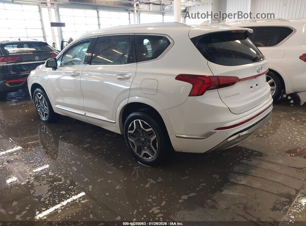 5NMS5DAL4MH311947 2021 HYUNDAI SANTA FE CALLIGRAPHY White Trasero izquierdo