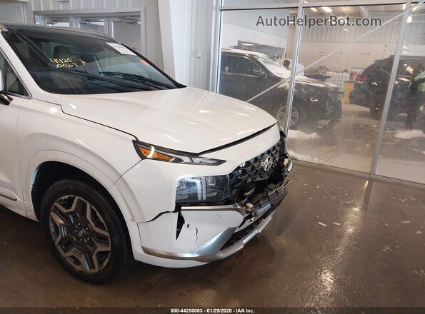 5NMS5DAL4MH311947 2021 HYUNDAI SANTA FE CALLIGRAPHY White 