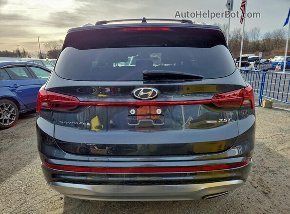 5NMS5DAL5MH371168 2021 HYUNDAI SANTA FE CALLIGRAPHY Черный Вид сзади