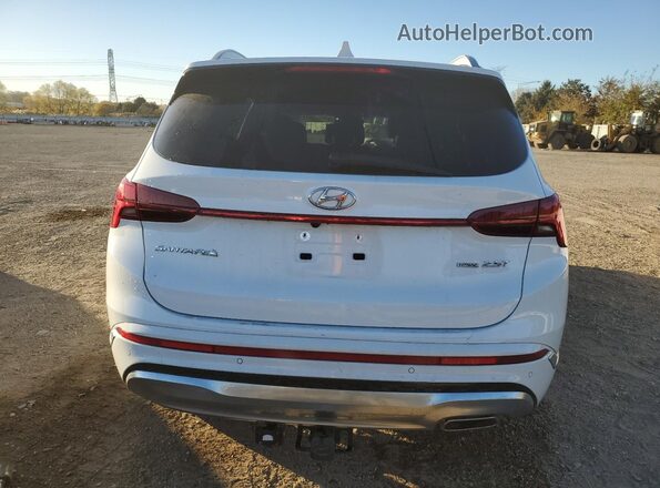 5NMS5DAL5PH628933 2023 HYUNDAI SANTA FE CALLIGRAPHY White Widok z tyłu
