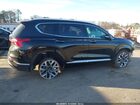 2023 Hyundai Santa Fe Calligraphy Black vin: 5NMS5DAL6PH654036