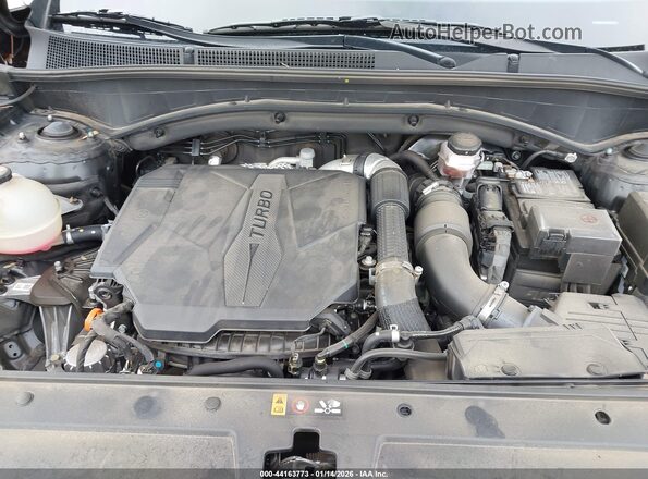 5NMS5DAL8PH620633 2023 HYUNDAI SANTA FE CALLIGRAPHY Black Widok z tyłu