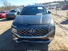 2023 Hyundai Santa Fe Calligraphy Black vin: 5NMS5DAL9PH507659 2023 Hyundai Santa Fe Calligraphy Black vin: 5NMS5DAL9PH507659