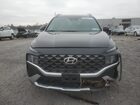 2023 Hyundai Santa Fe Calligraphy Black vin: 5NMS5DALXPH637286