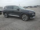 2023 Hyundai Santa Fe Calligraphy Black vin: 5NMS5DALXPH637286