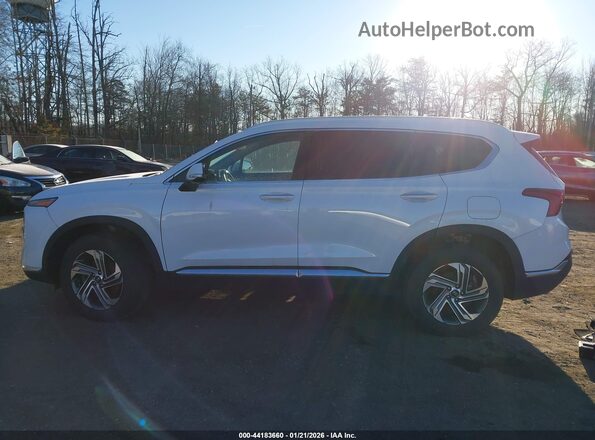 5NMS6DAJ5MH315615 2021 HYUNDAI SANTA FE Белый Вид задней части салона