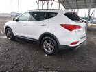 2017 Hyundai Santa Fe Sport 2.4l Белый vin: 5NMZUDLB0HH007591