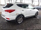 2017 Hyundai Santa Fe Sport 2.4l Белый vin: 5NMZUDLB0HH007591