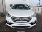 2017 Hyundai Santa Fe Sport 2.4l Белый vin: 5NMZUDLB0HH007591