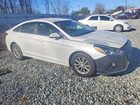 2019 Hyundai Sonata Se Белый vin: 5NPE24AF5KH753197
