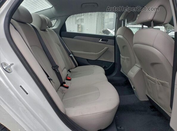 5NPE24AF6GH373924 2016 HYUNDAI SONATA Белый Вид задних сидений
