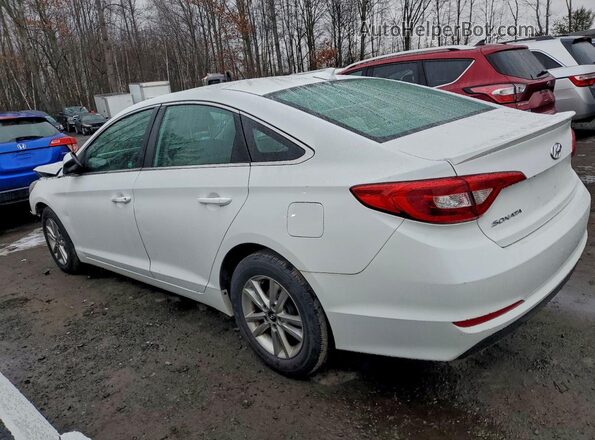 5NPE24AF6GH373924 2016 HYUNDAI SONATA Белый Задняя левая четверть