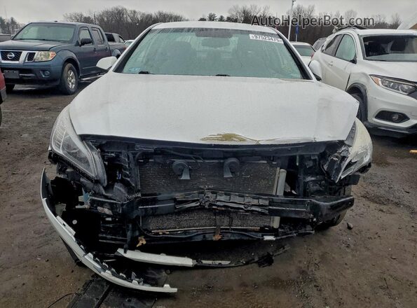 5NPE24AF6GH373924 2016 HYUNDAI SONATA Белый Вид спереди