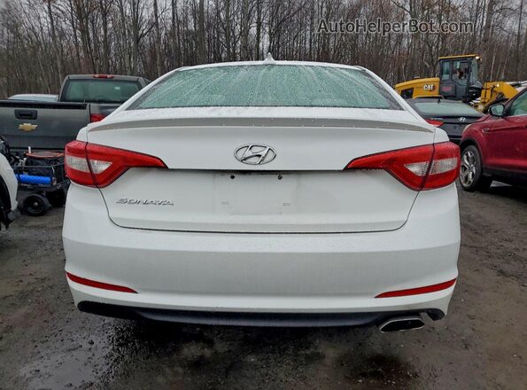 5NPE24AF6GH373924 2016 HYUNDAI SONATA Белый Вид сзади
