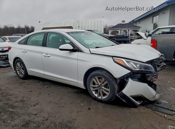5NPE24AF6GH373924 2016 HYUNDAI SONATA Белый Передняя правая четверть