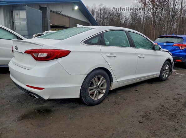5NPE24AF6GH373924 2016 HYUNDAI SONATA Белый Задняя правая четверть
