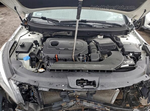 5NPE24AF6GH373924 2016 HYUNDAI SONATA Белый Вид задней части салона