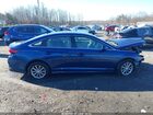2019 Hyundai Sonata Se Navy vin: 5NPE24AF8KH799672