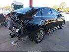 2019 Hyundai Sonata Sport Black vin: 5NPE34AF0KH731069