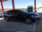 2019 Hyundai Sonata Sport Black vin: 5NPE34AF0KH731069