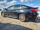 2017 Hyundai Sonata Sport Черный vin: 5NPE34AF7HH453604