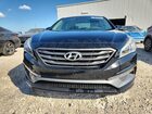 2017 Hyundai Sonata Sport Черный vin: 5NPE34AF7HH453604 Damage: Front Bumper, Chipped, 4