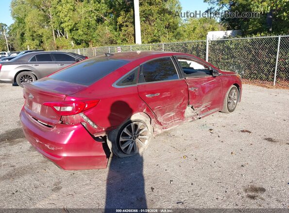 5NPE34AF8GH269934 2016 HYUNDAI SONATA Red Tył prawy