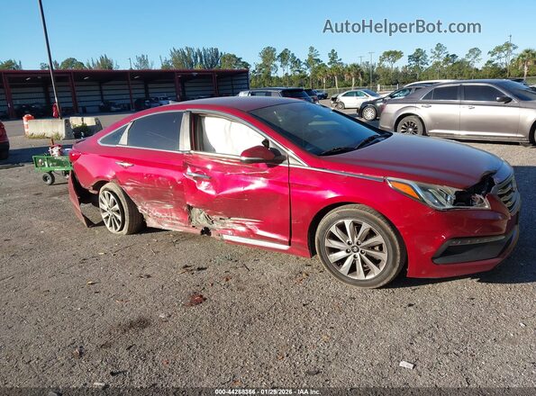 5NPE34AF8GH269934 2016 HYUNDAI SONATA Red Przód prawy