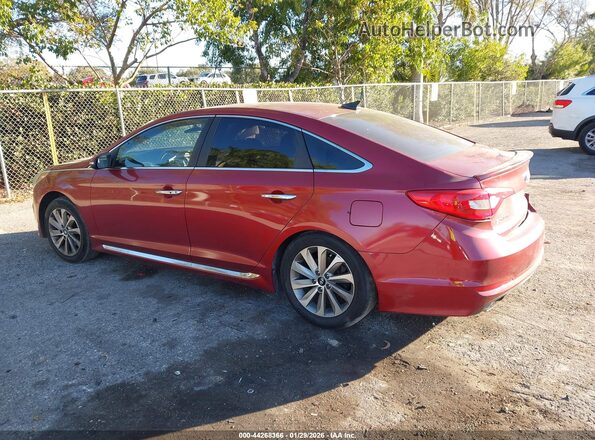 5NPE34AF8GH269934 2016 HYUNDAI SONATA Red Tył lewy
