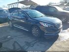 2017 Hyundai Sonata Sport Black vin: 5NPE34AF9HH509557