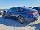 2020 Hyundai Sonata Sel Синий vin: 5NPEL4JA1LH010295