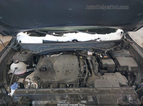 5NTJCDAE1RH099040 2024 HYUNDAI SANTA CRUZ Черный Вид сзади