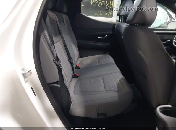5NTJCDAE5PH075966 2023 HYUNDAI SANTA CRUZ White Widok naklejki z numerem VIN