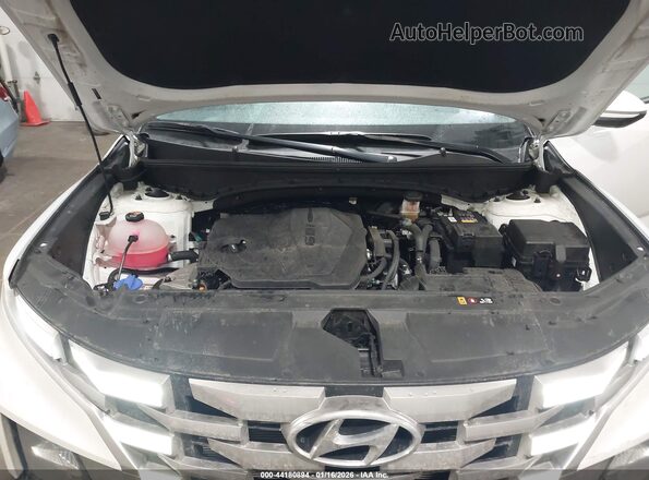 5NTJCDAE5PH075966 2023 HYUNDAI SANTA CRUZ White Widok z tyłu