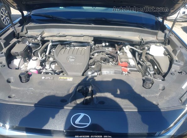 5TDAAAA62SS012838 2025 LEXUS TX 350 Черный Вид сзади